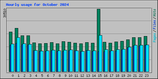 Hourly usage for October 2024