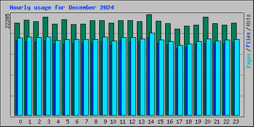 Hourly usage for December 2024