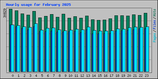 Hourly usage for February 2025