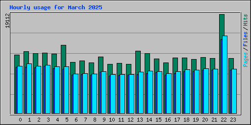 Hourly usage for March 2025