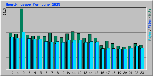 Hourly usage for June 2025