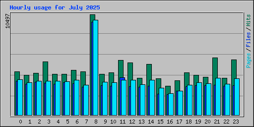 Hourly usage for July 2025