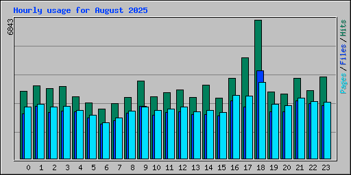 Hourly usage for August 2025