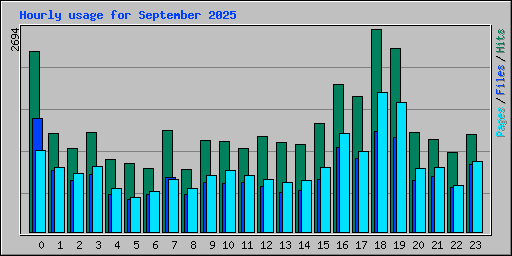Hourly usage for September 2025
