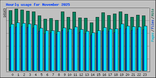 Hourly usage for November 2025