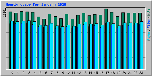 Hourly usage for January 2026