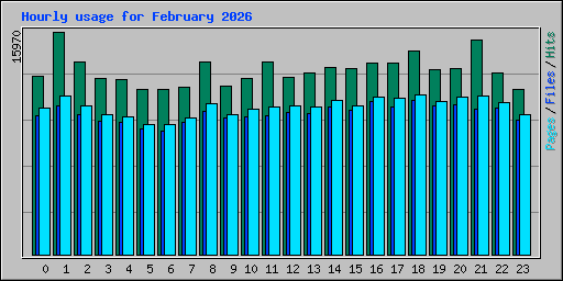 Hourly usage for February 2026
