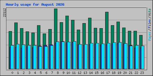 Hourly usage for August 2026