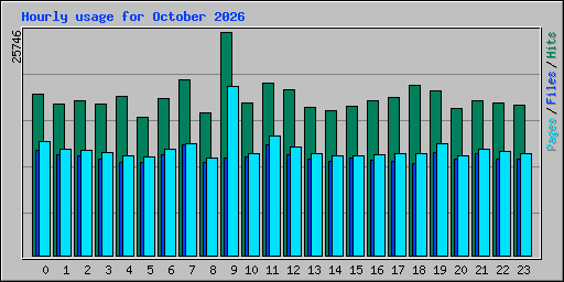 Hourly usage for October 2026
