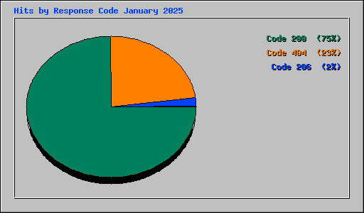 Hits by Response Code January 2025